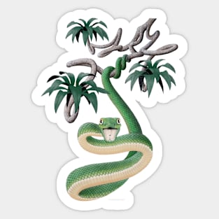 Snake in Tree Sticker